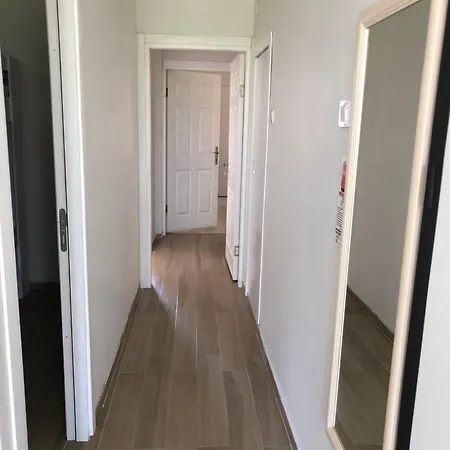 Renovated Modern House With Culture Park View