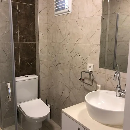 Renovated Modern House With Culture Park View Apartment *