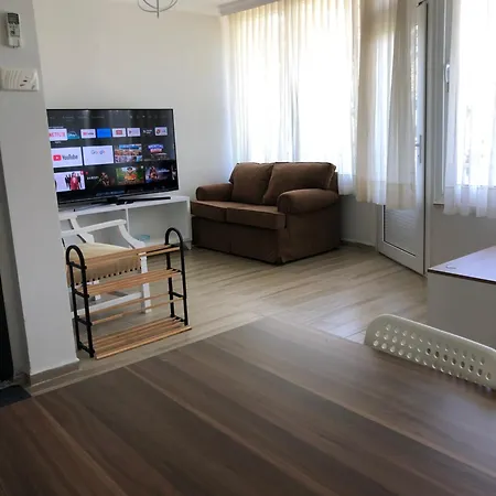Renovated Modern House With Culture Park View Apartment