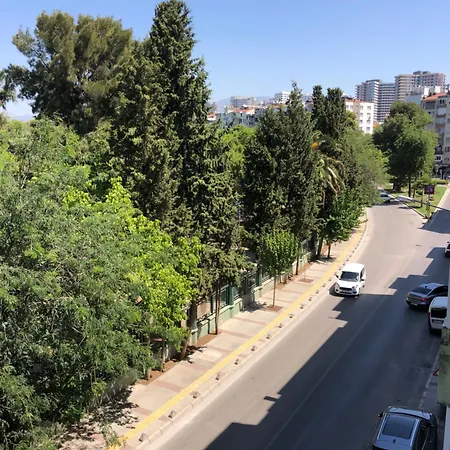 Apartment Renovated Modern House With Culture Park View