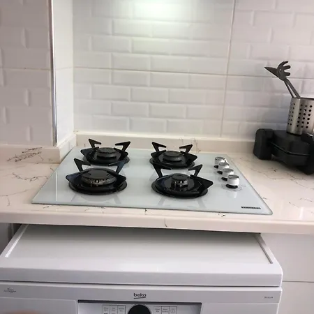 Renovated Modern House With Culture Park View Apartment Izmir