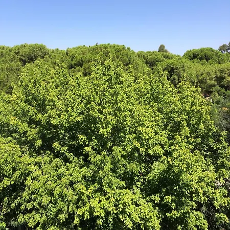 Renovated Modern House With Culture Park View Lägenhet