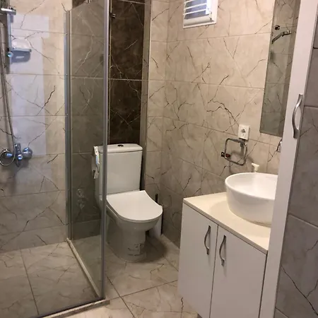 Renovated Modern House With Culture Park View Apartment Izmir