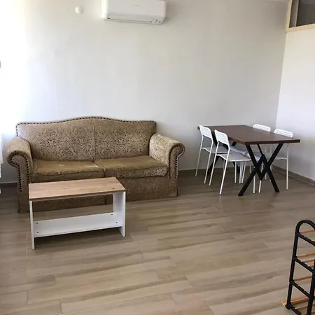 Apartment Renovated Modern House With Culture Park View Izmir