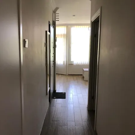 Apartment Renovated Modern House With Culture Park View *