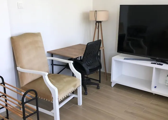 Renovated Modern House With Culture Park View Appartement *