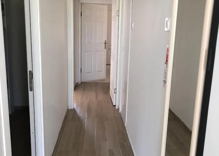 Renovated Modern House With Culture Park View