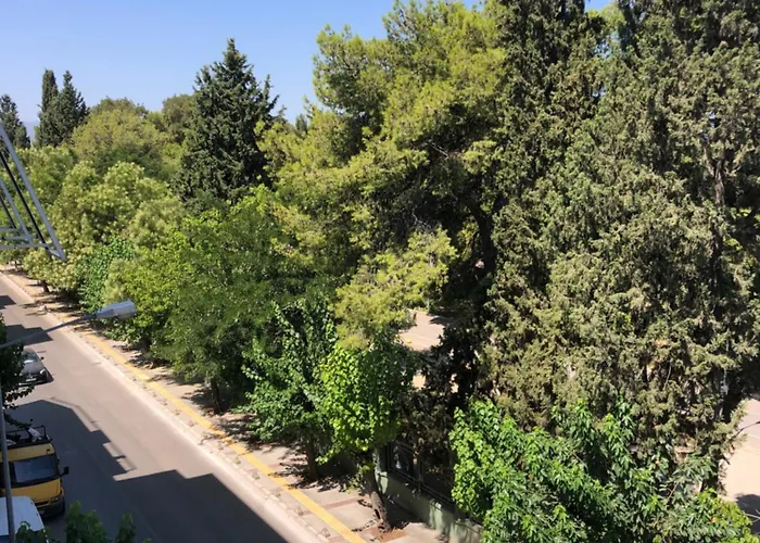 Appartement Renovated Modern House With Culture Park View *