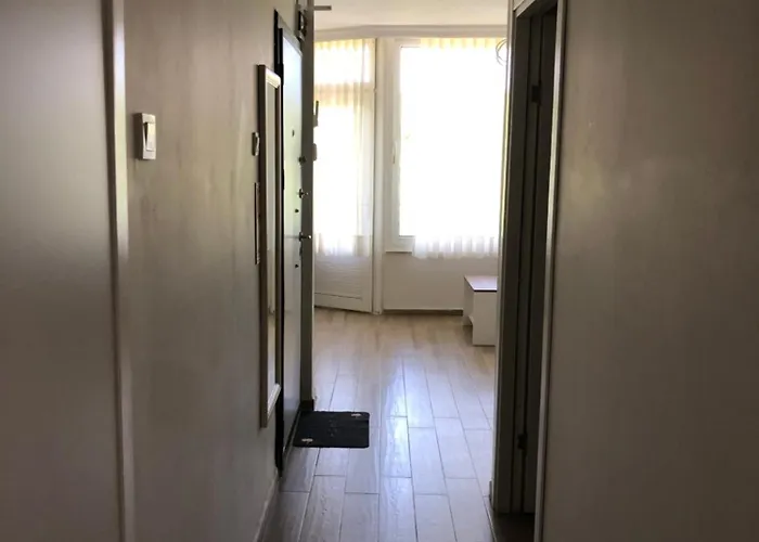 Appartement Renovated Modern House With Culture Park View *