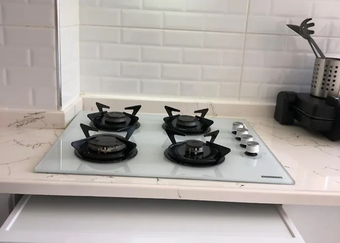 Renovated Modern House With Culture Park View Appartement İzmir