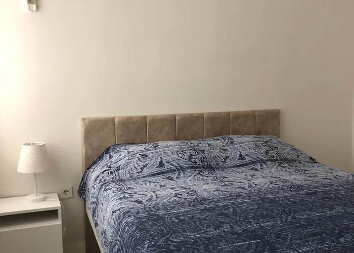 Appartement Renovated Modern House With Culture Park View *